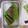 Cooksnap dari Asrie Ainie untuk resep Bolu Panggang Teflon