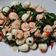 Cooksnap dari linalin untuk resep Tumis Kangkung Bawang Putih
