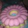 Cooksnap dari Iis Ahmad untuk resep Puding Busa Rainbow
