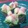 Cooksnap dari Elysa untuk resep Bolu Kukus (Mekar) Semangka 1 Telur - All in One Methode