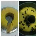 Cooksnap dari lanykusnadi untuk resep Bolu Wortel topping kurma