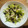 El cooksnap de Jorge Alonso cuando hizo Ensalada griega.