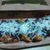 Cooksnap dari Nina Sepoh untuk resep Nugget Pisang Goreng Crispy