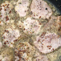 El cooksnap de Marta Lozano cuando hizo Solomillo de cerdo con miel y mostaza.