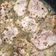 El cooksnap de Marta Lozano cuando hizo Solomillo de cerdo con miel y mostaza.