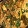 Cooksnap dari Titin Suci Lestari untuk resep Ayam Woku Khas Manado