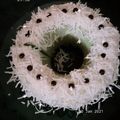 Cooksnap dari Ain Dhiaurr untuk resep Bolu Pandan Keju Kukus
