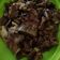 Cooksnap dari Lili Maslikh untuk resep Beef teriyaki simple