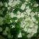 El cooksnap de sonyalopez498 cuando hizo Tofu salteado con vegetales.