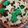 El cooksnap de Analia Sgobba cuando hizo Galletas de Navidad 🎄🎄.