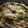 Varsha Narayankar's cooksnap of when they made White poha.