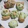 Cooksnap dari Poy untuk resep Bakpao Maizena