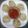 Laju Gehani's cooksnap of when they made Chicken Capsicum Dumpling.