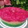 Cooksnap dari Ellin Dulhakim untuk resep 30. Kue singkong sederhana