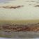 Cooksnap dari Pawon Atnic Ngebul untuk resep Zebra sponge cake (antigagal)