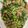 小媽簡單煮 的 泰式四季豆打拋豬 cooksnap