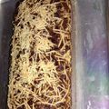 Cooksnap dari Sarita Azahra untuk resep Brownies panggang chocolatos 2 telur