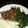Bonnie Maithya's cooksnap of when they made Fried omena with greens.