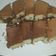 Cooksnap dari ummu jihad untuk resep Terang bulan teflon