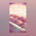 Cooksnap dari lifya amanda untuk resep Choco Milo ball
