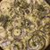 El cooksnap de Romina Pollero López cuando hizo Focaccia sin Gluten Fabián.