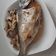 El cooksnap de MaryGlory cuando hizo Dorada rellena con brie y champiñones.