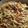 El cooksnap de Ana Maria cuando hizo Spaguettis con champiñones.rápidos !!.