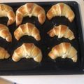 El cooksnap de paola dos santos cuando hizo Medialunas fáciles 🥐🥐.