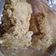 El cooksnap de Corina Peyrano cuando hizo Pepas light.