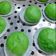 Cooksnap dari Trisna Utami untuk resep Bakpao Mulus tanpa Tepung Pao