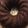 El cooksnap de adriluvi cuando hizo Bundt cake de chocolate sin harina.