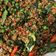Cooksnap dari Talitha rahma jodi untuk resep Ulukutek oncom leunca