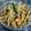Purabi Das Dutta's cooksnap of when they made সজনে ডাঁটা পোস্ত (Sojne Data Posto recipe in Bengali).
