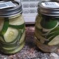 tamera's cooksnap of when they made Spicy Dill Refrigerator Pickles.