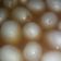 Cooksnap dari Febri untuk resep Asinan Rambutan