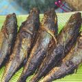 Cooksnap Sesimple Loralin semasa beliau membuat Ikan Cencaru Sumbat Simple.