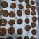 Cooksnap dari Maya Sukmawati untuk resep Goodtime cookies