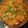 Ichchha gautam का कुकस्नैप जब उन्होंने मसाला पत्ता गोभी (Masala patta gobhi recipe in hindi) बनाया था।