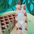 Cooksnap dari Laila Rahmalillah untuk resep Ice cream waffle sandwich