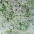 Cooksnap dari Dwi Tari untuk resep Klepon ketan isi gula merah