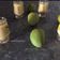 Arpana Gandhi's cooksnap of when they made મેંગો શેક(Mango shake in gujarati recipe).
