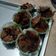 Cooksnap dari wahyu meinarti untuk resep Cupcake Coklat Panggang Tanpa Mikser