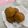 Cookingwithseki 's cooksnap of when they made Yummy egg rolls.
