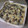 El cooksnap de jorbasmar cuando hizo Tarta vasca de arroz.