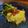 El cooksnap de Noelia Segovia cuando hizo Polenta Rellena.