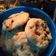 El cooksnap de Cele Orich cuando hizo Galletitas/cookies con chips, súper suaves y blandas. 🍪💞.