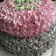 Cooksnap dari Eckhxqa Emak'yua ARoeumt untuk resep Black forest ultah cake