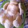 Cooksnap dari diana_dee untuk resep Kerupuk Nasi warna-warni