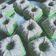 Cooksnap dari Mely Hartati untuk resep Putu Ayu (Anti Gagal)