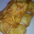 Cooksnap dari Wanti Ummu Nunauts untuk resep Martabak Tahu Kulit Pangsit